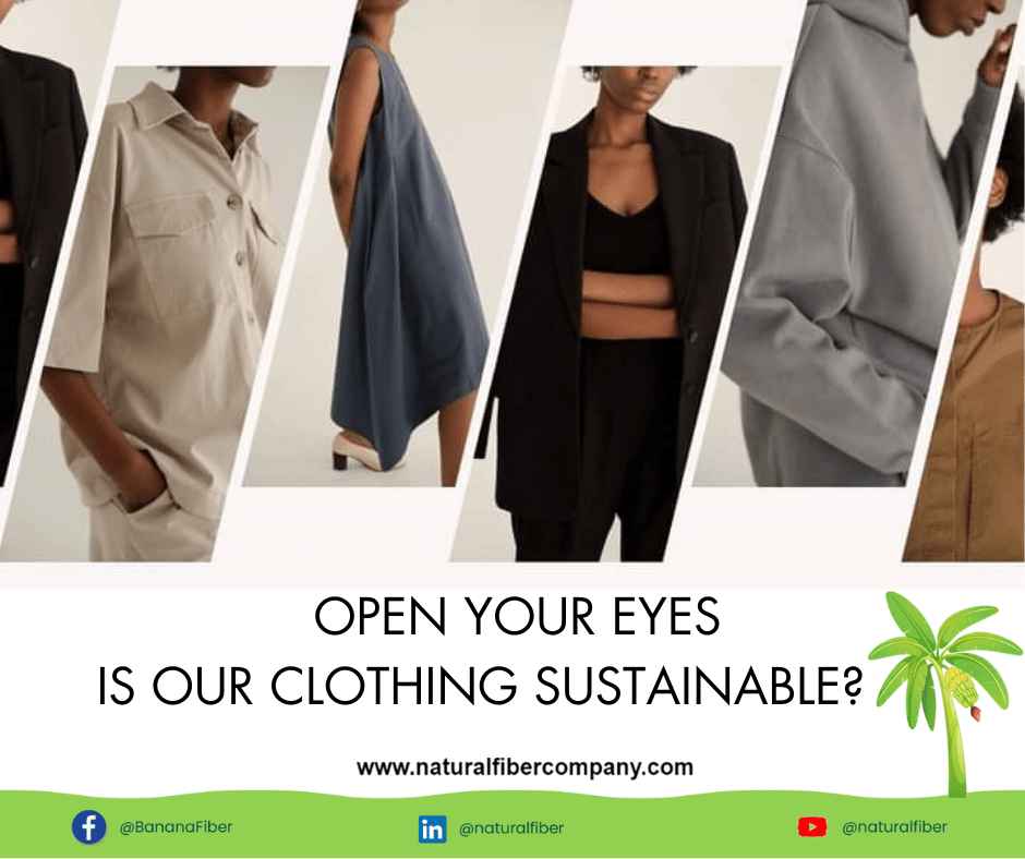 Banana Fibers: The Green Solution to Fast Fashion’s Environmental Crisis - The Natural Fiber Company