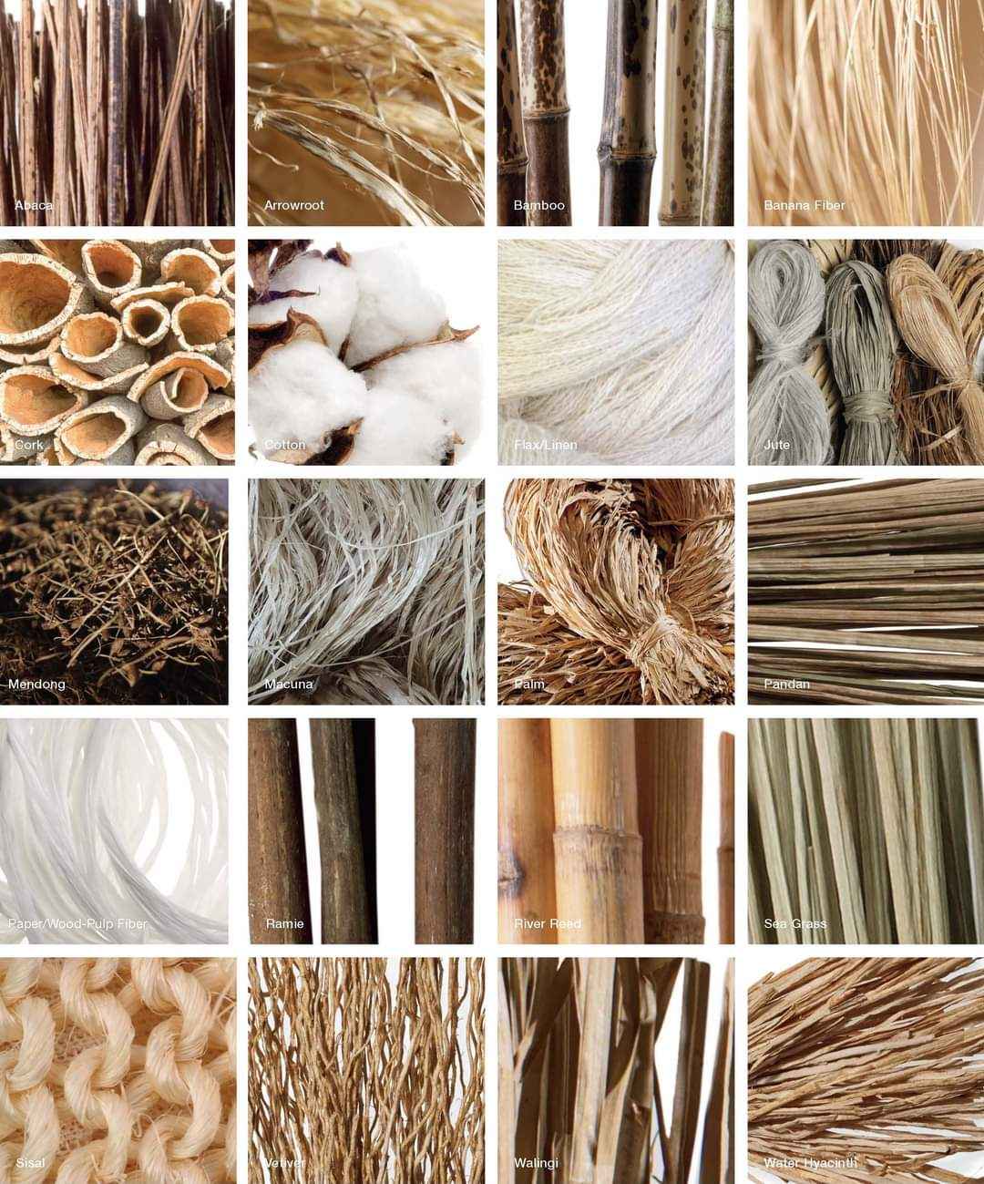 The Rise of Natural Fibers: A Return to Sustainable Fashion - The Natural Fiber Company