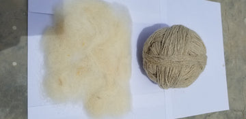 Natural wool fiber shown as an eco-friendly material at NFC