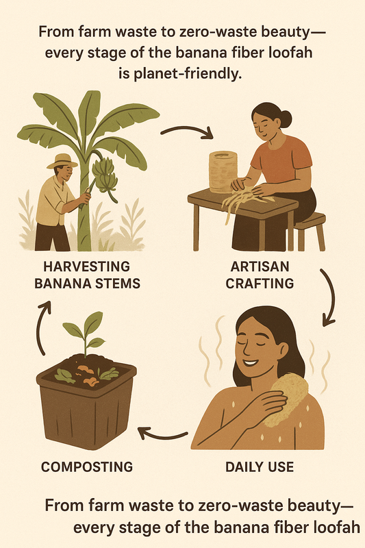 How a Banana Fiber Loofah Reduces Plastic Pollution — A Life-Cycle Analysis