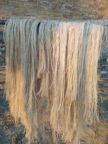 Combed banana fiber bundle sold wholesale, the raw material for hair-extension manufacturing