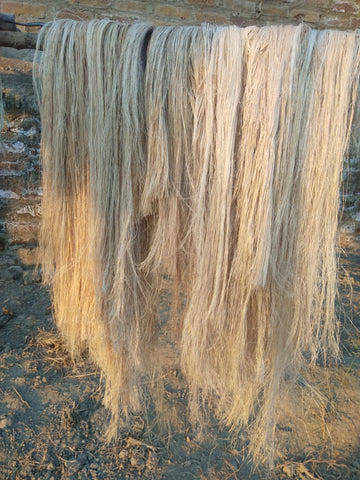 Raw banana fiber, the material at the center of this natural fiber strength comparison