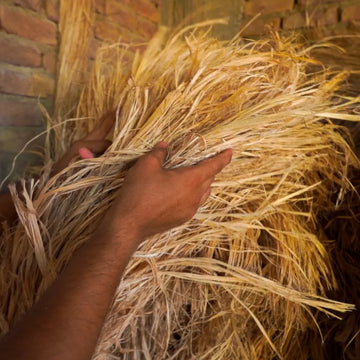 Raw banana fiber material, the raw agricultural input behind the plant-based braiding hair industry