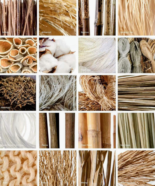 Banana Fiber: Global Trends 2026 &amp; Pakistan’s Untapped Opportunity in Sustainable Textiles