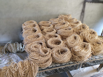 Natural fiber rope supporting fig (anjeer) farming production