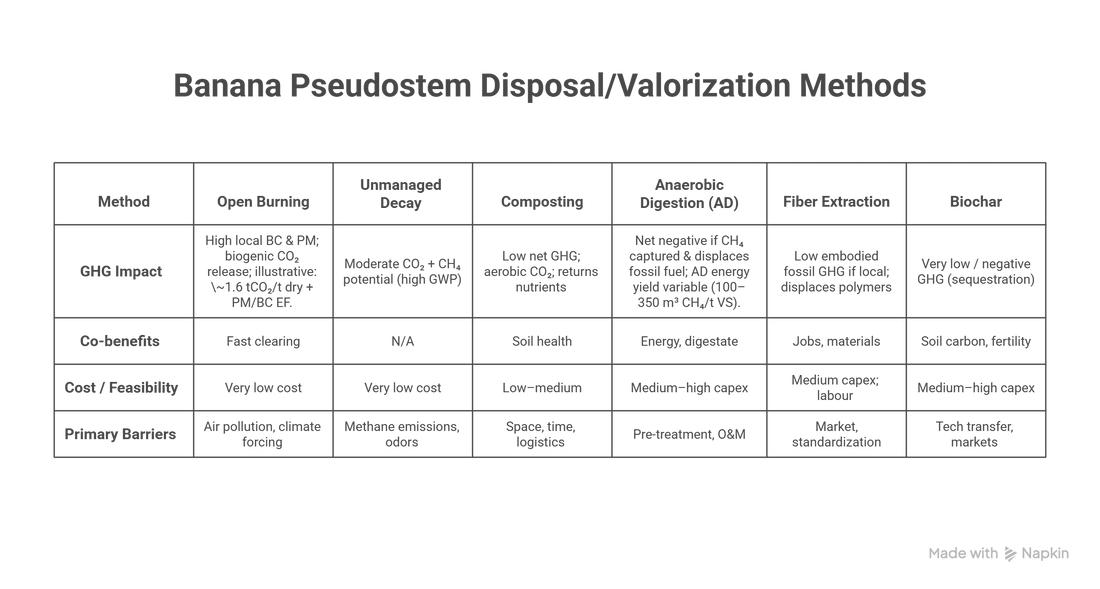 The Agro-Waste Problem: Banana Cultivation, Pseudostem Volumes, and the Climate Cost of Current Disposal Practices