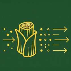 BANANA PSEUDOSTEM