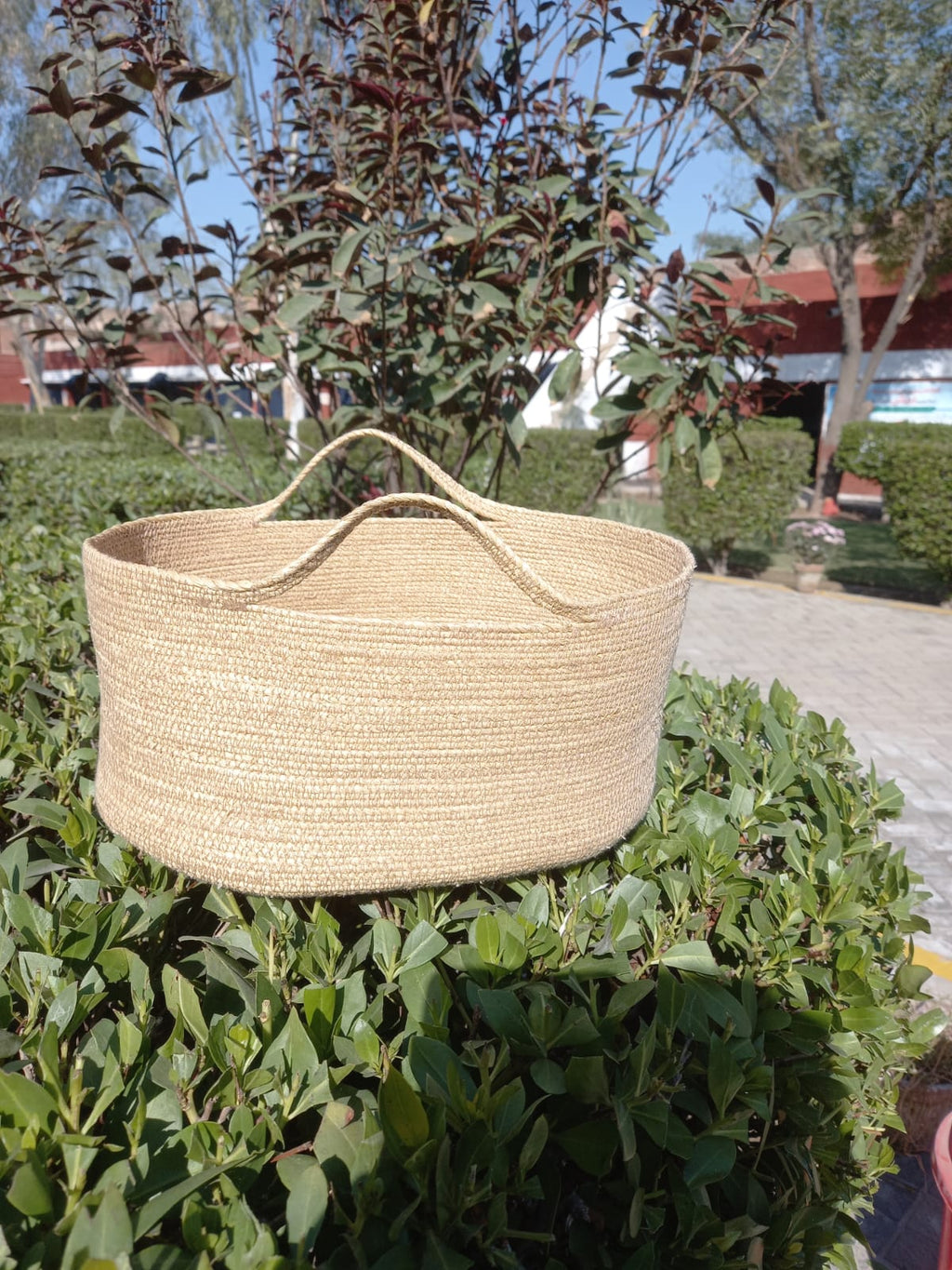 Banana Fiber Fruit Basket - The Natural Fiber CompanyBanana Fiber Fruit BasketFruit BasketNatural Fiber CompanyThe Natural Fiber Company