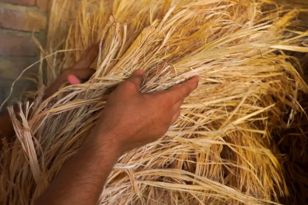 RAW FIBER
