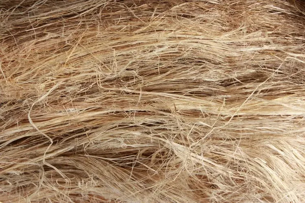 RAW FIBER